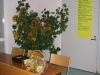 IMG_6559.JPG