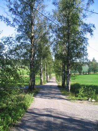 img_8077.JPG